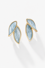 Vive Stainless Steel Earrings
